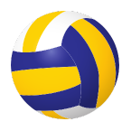 Volley